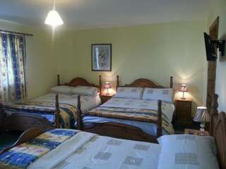 Отели типа «постель и завтрак» Stone Lodge Riverchapel Двухместный номер с 1 кроватью-6